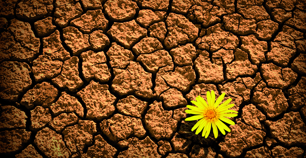 resilienec
