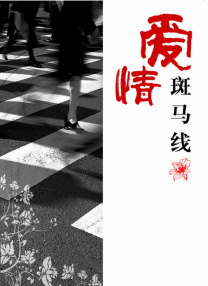 日本污网站
